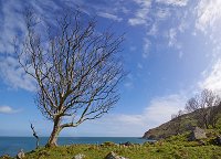Murlough bay