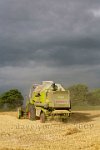 Norfolk combine harvester in corn field before the storm