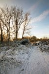 Redhill-snow-2
