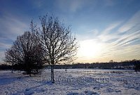 Redhill-snow-3