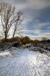 Redhill-snow-5