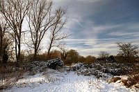 Redhill-snow-6