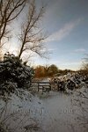 Redhill-snow