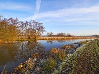 River Wey 4