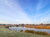 River Wey 5