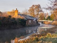 River Wey 7