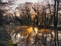 River Wey 8