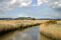 Scrabo-tower