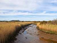Scrabo