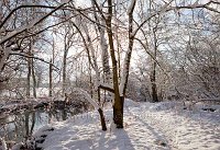 Snow-and-the-river-Mole-at-Betchworth-2