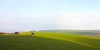 South Downs Way winter 2