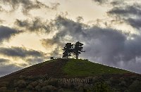 Symondsbury hill Dorset
