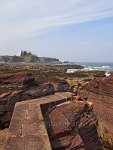 Tantallon from Seacliff 5