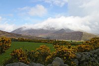 Northern Ireland the Mourne mountains gorse and rainbow