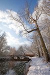 The-river-Mole-and-Betchworth-bridge-Pt