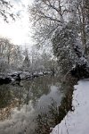 The-river-Mole-and-trees-Pt-2