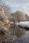 The-river-Mole-and-trees-Pt-3