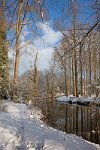 The-river-Mole-and-trees-Pt
