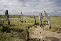 Thornham-2