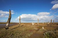 Thornham-marshes-and-ancient-trees