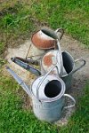 Three old galvanised watering cans