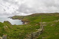 Torr Head 2