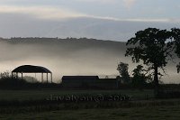 mist-2-Dorset