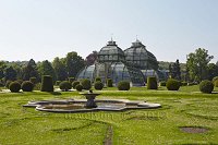 Vienna-Palm-house-at-the-Schonbrunn-palace-gdns-2