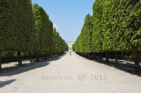 Vienna-Schonbrunn-palace-from-a-tree-avenue-Land