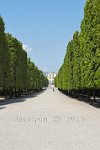 Vienna-Schonbrunn-palace-from-a-tree-avenue