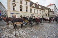 Vienna-horse-drawn-carriages-Stephansplatz-Land