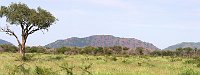 South Africa Madikwe