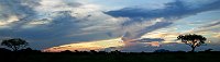 South African sunset Madikwe