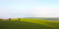South Downs Way winter 2