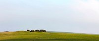 South Downs Way winter 3