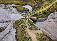 A walk in the marsh