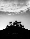 Colmers hill