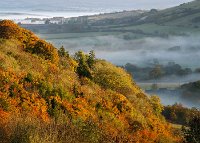Dorset morning
