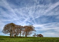 Halnaker sky