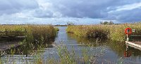 Hickling broad nature reserve 2