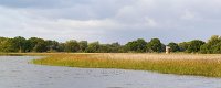 Hickling broad