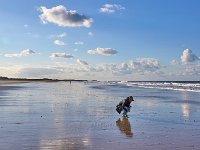 Holkham beach 4