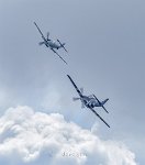 On his tail - copy