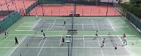 Pickleball 8