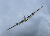 The Sally B