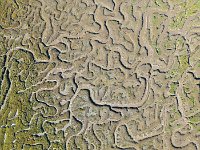 Thornham drone 5