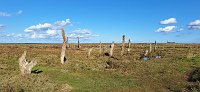 Thornham stumps 2