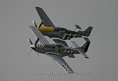 Mustangs