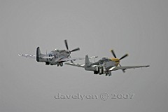 Mustangs2