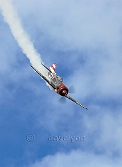 Russian Lavochkin La-7  dive